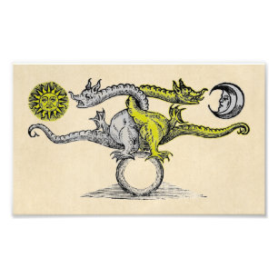 Gold- und Silberdrachen Fotodruck