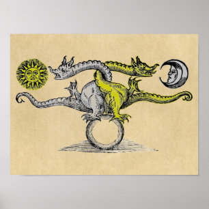 Gold und Silberdrachen Poster