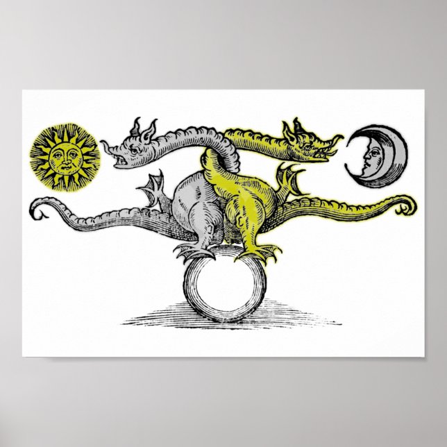 Gold und Silberdrachen Poster (Vorne)