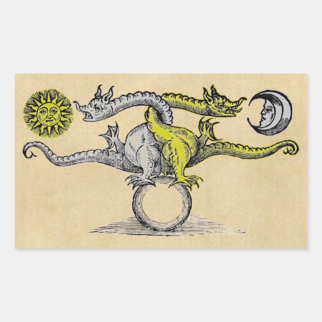 Gold- und Silberdrachen-Symbol Rechteckiger Aufkleber (Vorderseite)