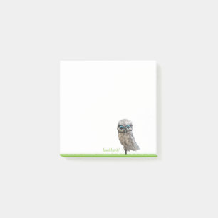 Gold und silberner grabender Eulen-Dekor Post-it Klebezettel