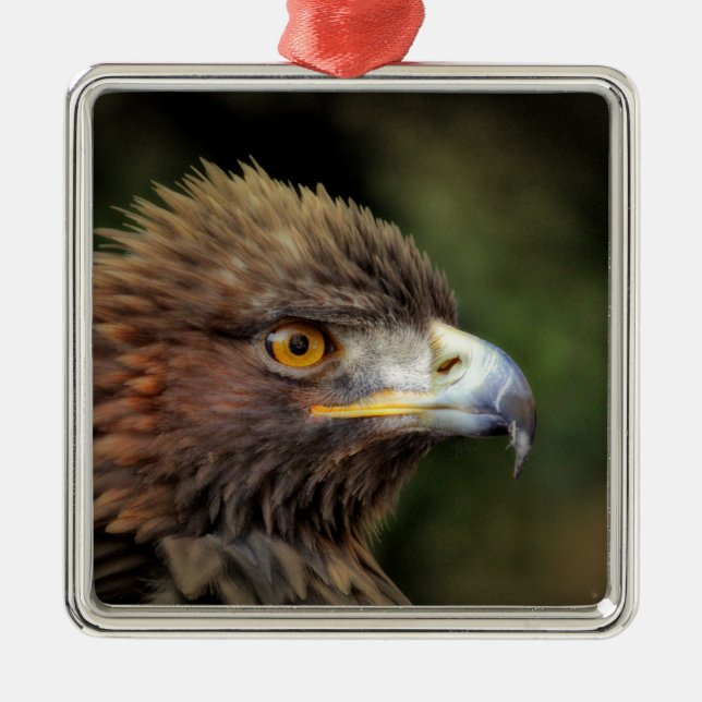 Goldadler Silbernes Ornament (Vorne)