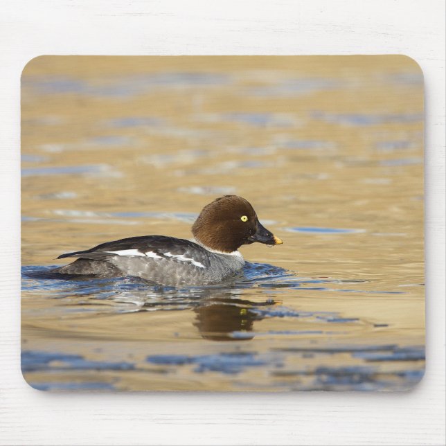 Goldaugenente Mousepad (Vorne)
