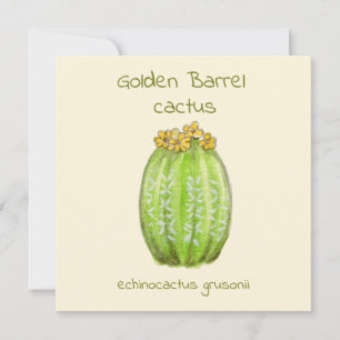 Goldbarrel-Kakteen Grußkarte Karte