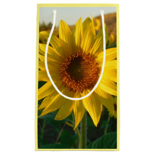 Goldblume Kleine Geschenktüte