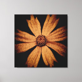 Goldcosmos-Blume auf Schwarz Leinwanddruck