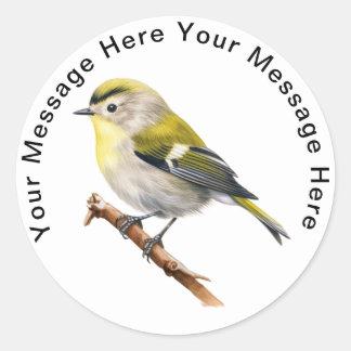 Goldcrest-Singvogel Runder Aufkleber