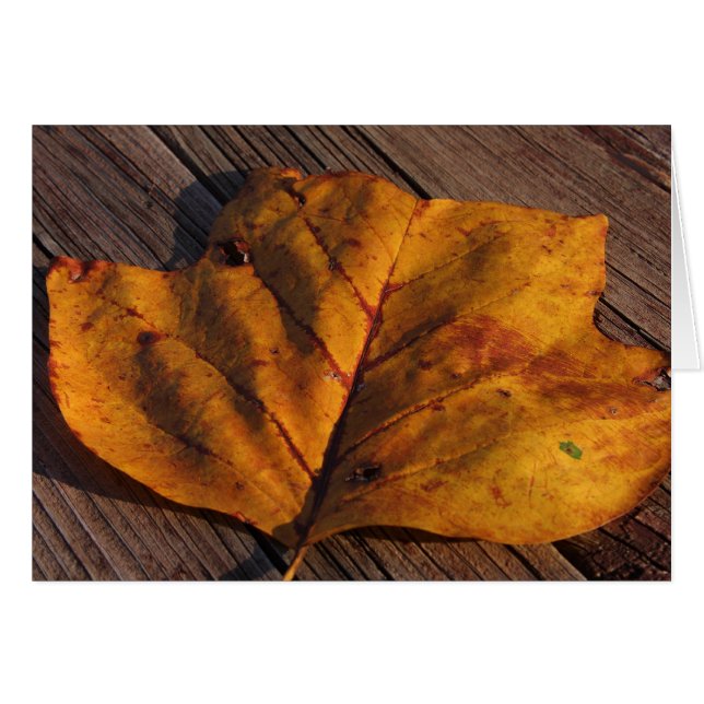 Golden (Vorderseite (Horizontal))