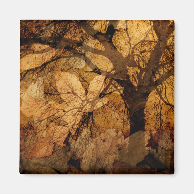 Golden and Brown Blätter | Merritt Island, FL Magnet (Vorne)