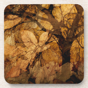 Golden and Brown Blätter  Merritt Island, FL Untersetzer