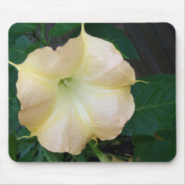 Golden Angels Blume nah Mousepad