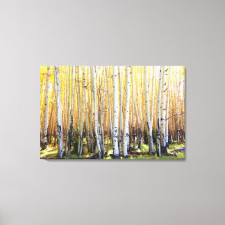 Golden Aspens Canvas Print Leinwanddruck