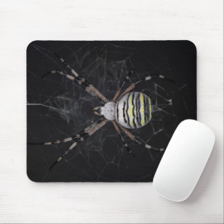 Golden Banded Garden Spider | Spinnen Lovers Gift Mousepad