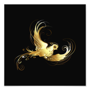 Golden Bird im schwarzen Hintergrund Fotodruck