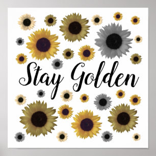 Golden bleibe, Sonnenblume Poster