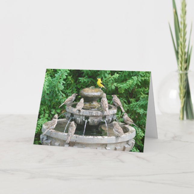 Golden Boy Karte (Vorderseite)