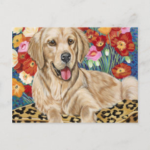 Golden Boy Retriever Postkarte