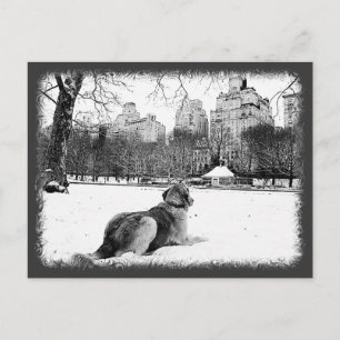 Golden by Conservatory Water/Central Park Postcard Postkarte