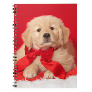 Golden Christmas Welpe Red Bob Notizblock