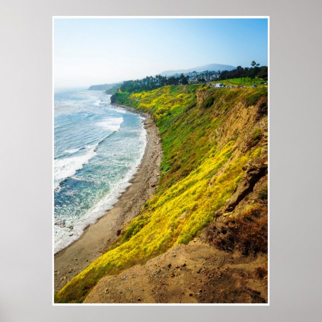 Golden Coastline in Bloom Poster (Vorne)