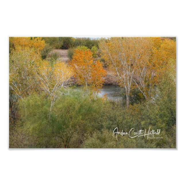 Golden Colorado Fotodruck (Vorne)