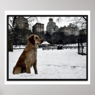 Golden-Conservatory-Central Park 3D Frame Poster