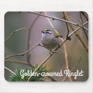 Golden-Crowned Kinglet Mousepad