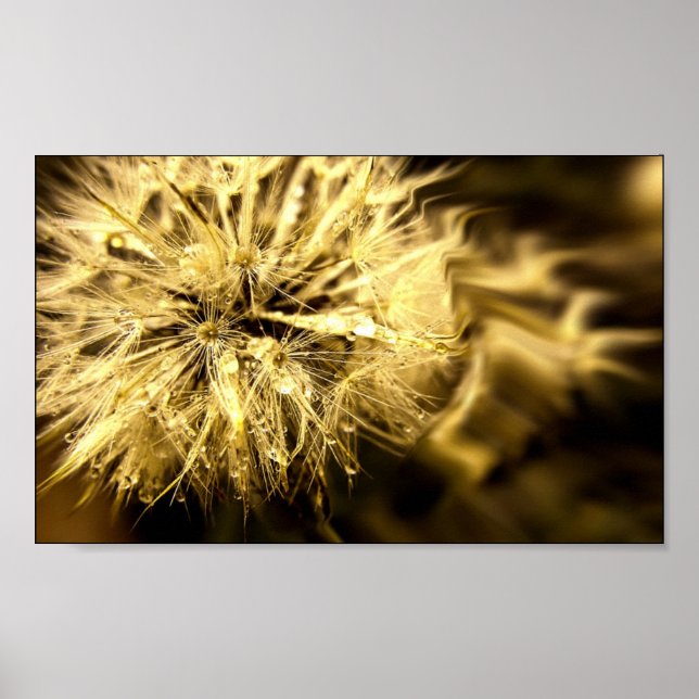 Golden Dandy Dreams Poster (Vorne)