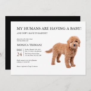 Golden Doodle Baby Dusche Minimalistische Einladun Einladung