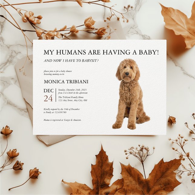 Golden Doodle Baby Dusche Minimalistische Einladun Einladung (Toy Poodle Apricot Baby Shower Funny Invitation)
