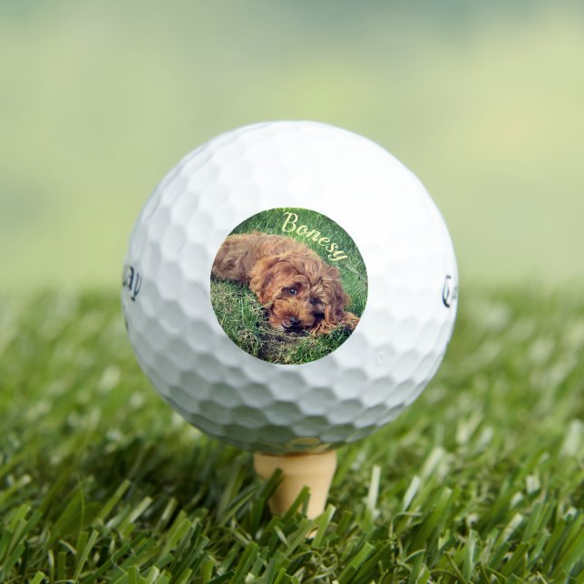 Golden Doodle Callaway Soft Golf Balls Golfball (Insitu T-Shirt)