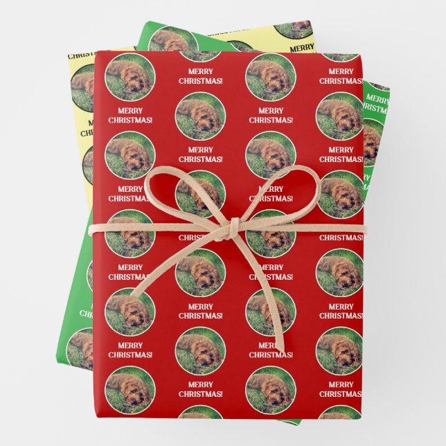 Golden Doodle Geschenkpapier Set (Beispiel)
