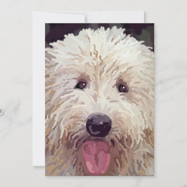 Golden Doodle Look Cards (Vorderseite)