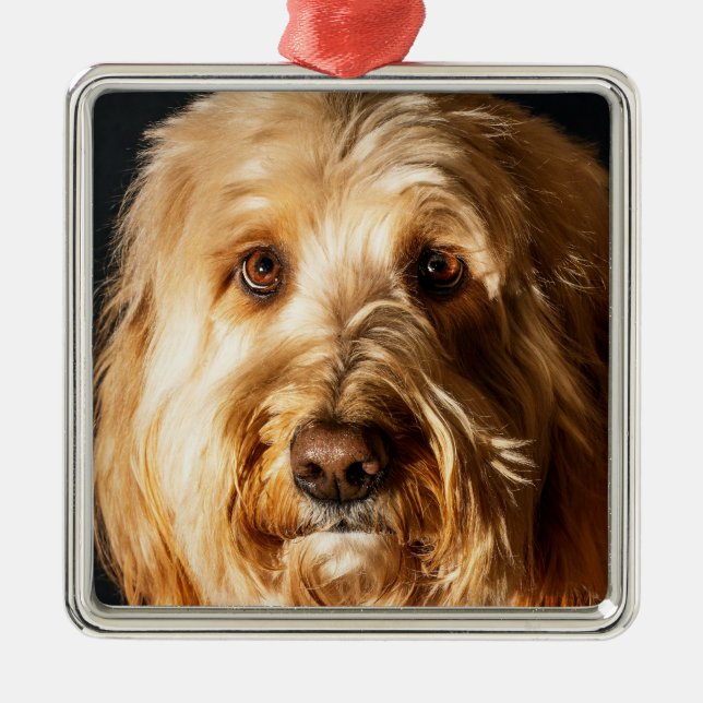 Golden doodle Puppy Dog Ornament Aus Metall (Vorne)