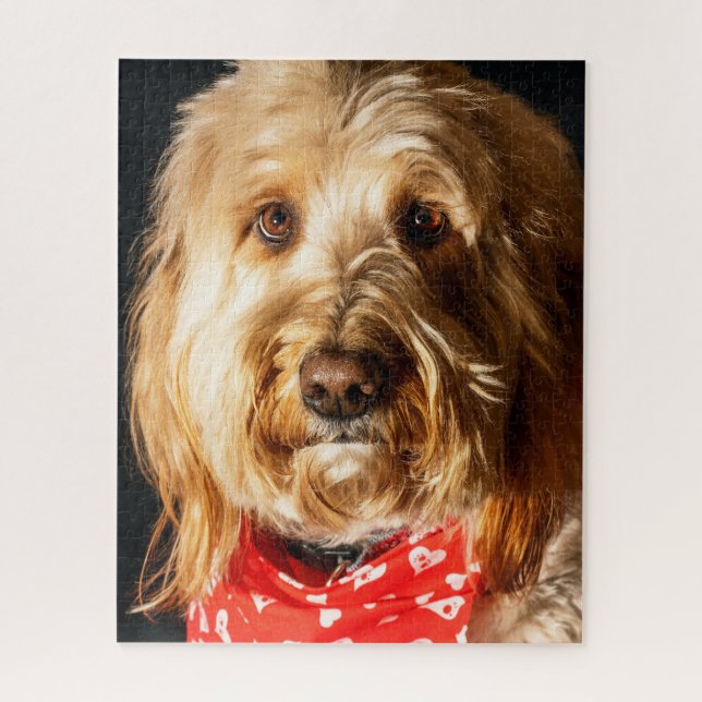 Golden doodle Puppy Dog Puzzle (Vertikal)