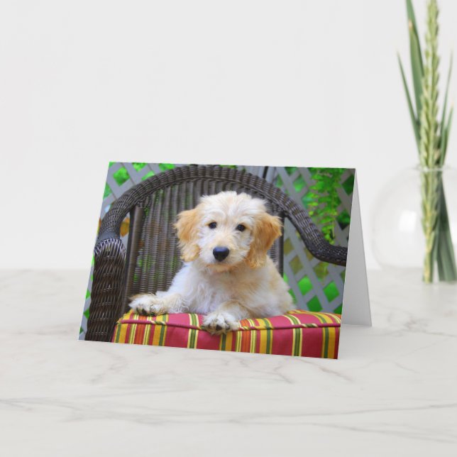 Golden Doodle Puppy Karte (Vorderseite)