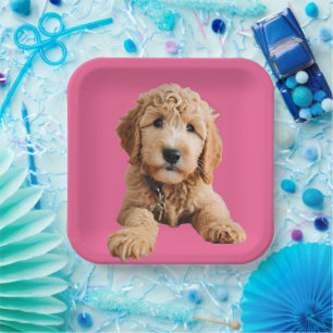 Golden Doodle Puppy Pappteller