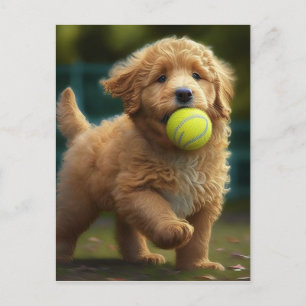 Golden Doodle Puppy Plays Ball Postkarte