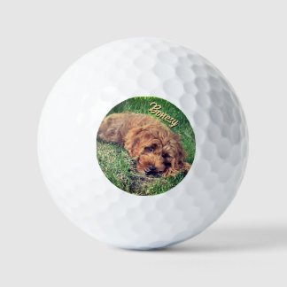 Golden Doodle With Text Golfball