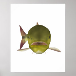 Golden Dorado Fish Head Poster