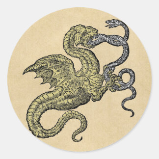 Golden Dragon Fighting Silver Snake Runder Aufkleber