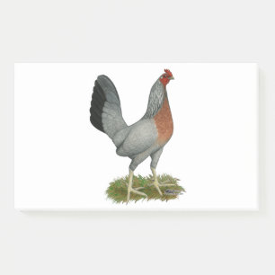 Golden Duckwing Hen Post-it Klebezettel