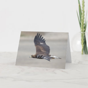 Golden Eagle Happy Birthday Card Karte