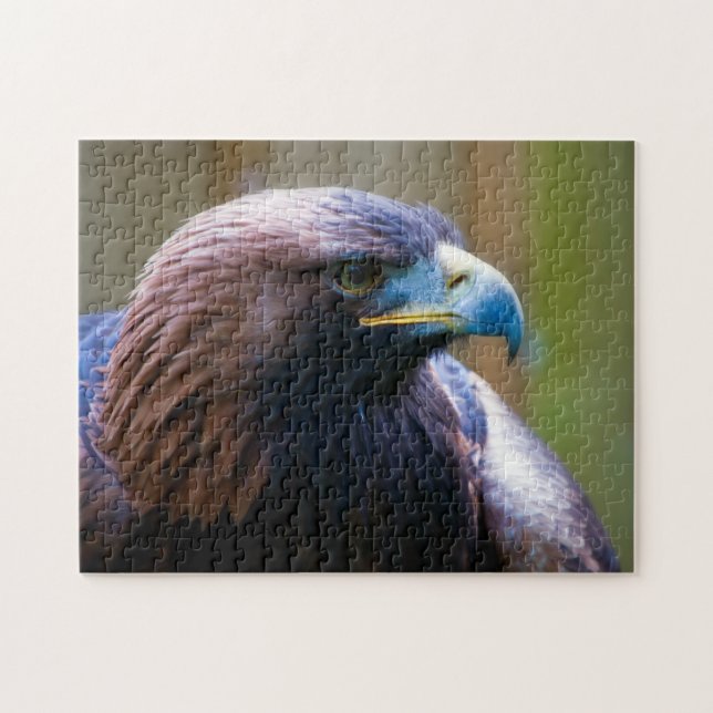 Golden Eagle Jigsaw Puzzle (Horizontal)