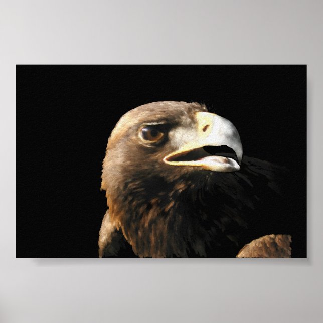 Golden Eagle Portrait Poster (Vorne)