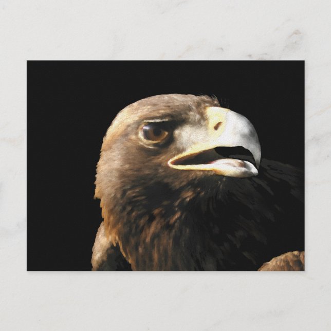Golden Eagle Portrait Postkarte (Vorderseite)