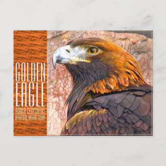 Golden Eagle [Postcard] Postkarte