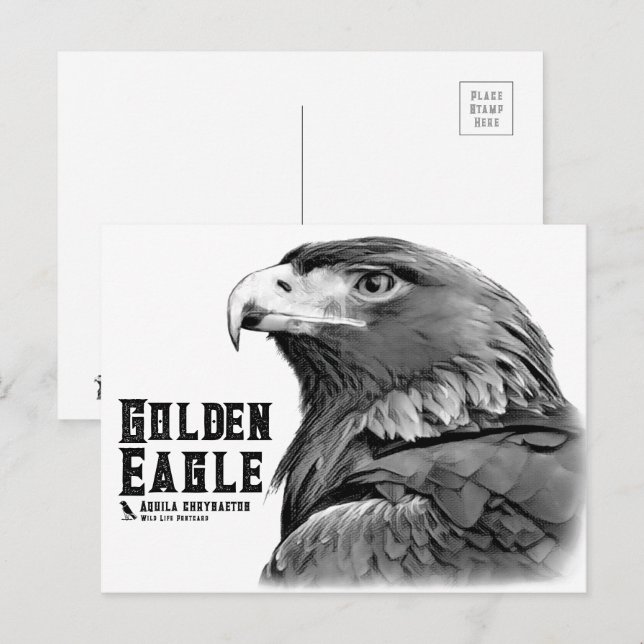 Golden Eagle Postkarte (Vorne/Hinten)
