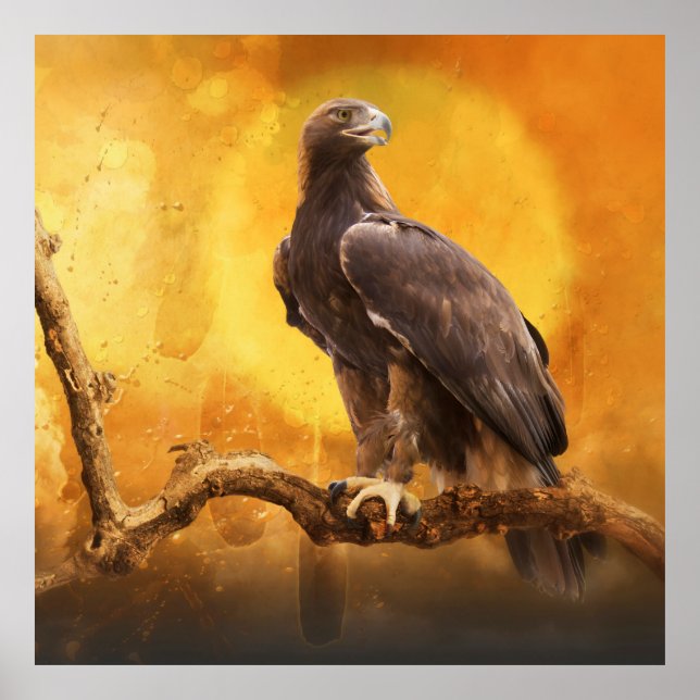 Golden Eagle The GOLDEN ONE Poster (Vorne)