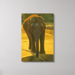 Golden Elephant Wisdom - Majestic Wildlife Leinwanddruck